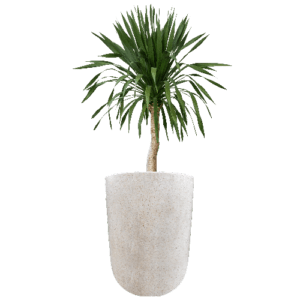 Pot Terrazzo Tipe Apolo