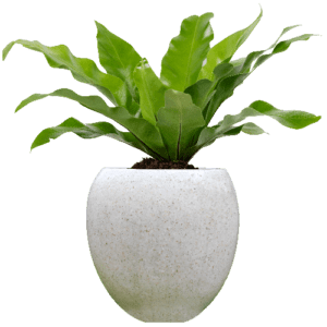 Pot Terrazzo Tipe Bulat