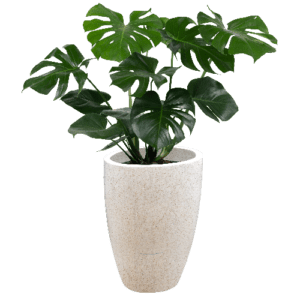 Pot Terrazzo Tipe Diameter Miring