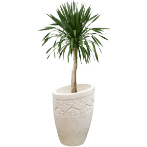 Pot Terrazzo Tipe Diameter Miring Ukir