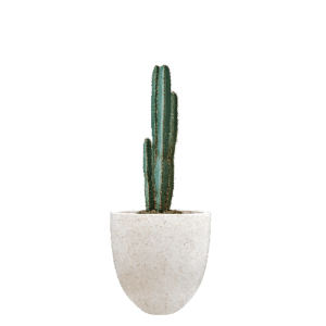 Pot Terrazzo Tipe Mini
