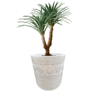 Pot Terrazzo Tipe Pandawa