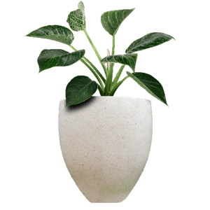 Pot Terrazzo Tipe Tampak Siring