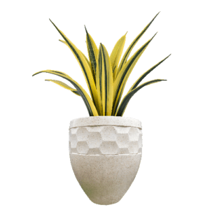 Pot Terrazzo Tipe Tampak Siring Ukir