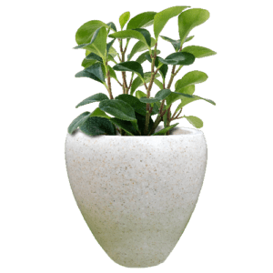 Pot Terrazzo Tipe Telur