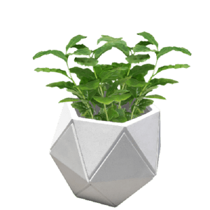Pot Terrazzo Tipe Dadu