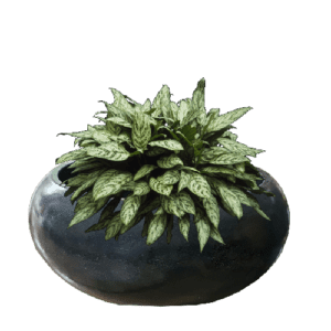 Pot Terrazzo Tipe Donat