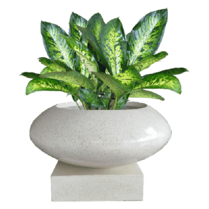 Pot Terrazzo Tipe Donat Mini