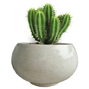 Pot Terrazzo Tipe Mangkuk