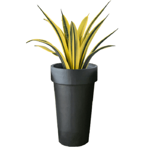 Pot Terrazzo Tipe Jumbo Doff