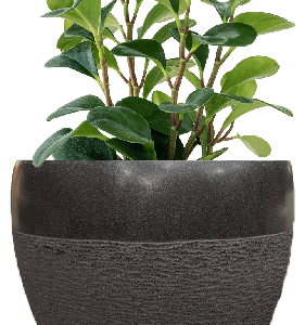 Pot Terrazzo Tipe Cacah Hitam