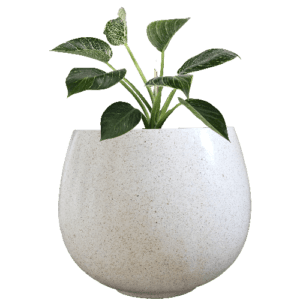 Pot Terrazzo Tipe Melon