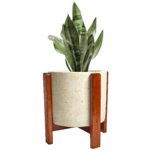 Pot Terrazzo Tipe Silinder dan Stand Kayu Cokelat Muda
