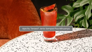Apa itu Teraso