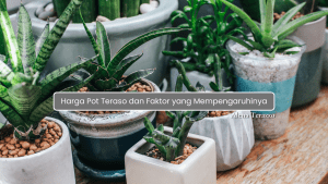Harga Pot Teraso
